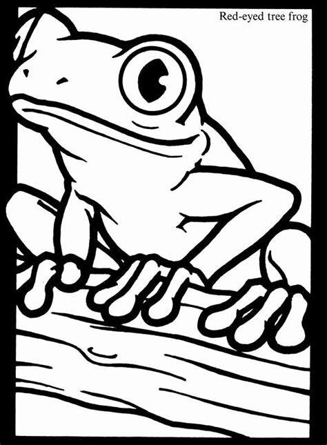 tree frog coloring page   frog coloring pages animal