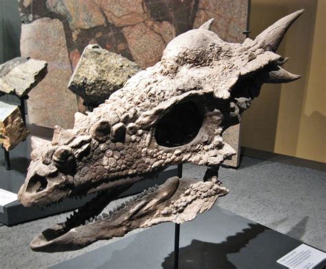 stygimoloch paleontology world