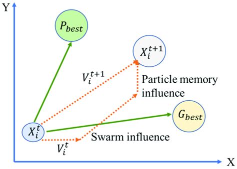 representation  particle swarm optimization pso model pseudocode