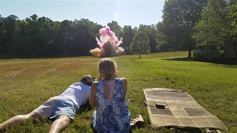 14 of the best gender reveal ideas page 4 of 15 true