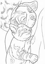 Coloring Pages Dogs Cats Dog Lovable Books Adult Sheets Book Cat Adults Printable Color Creative Colouring Sample Haven Kids Dover sketch template