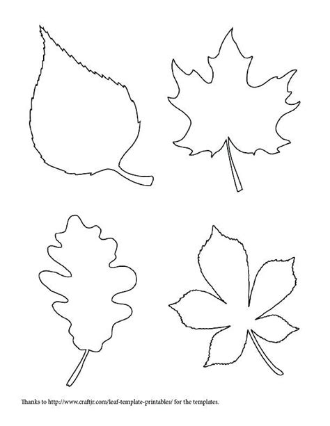 autumn leaf outline kids coloring    small maple template