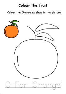 colour  fruits orange coloring worksheet  preschool