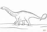 Jurassic Apatosaurus Apatosaurio Colorare Euoplocephalus Disegni Apatosauro Rhamphorhynchus Pterosaurs sketch template