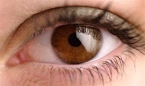partes del ojo humano  sus funciones ifema madrid