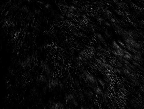 black fur filtered fur background fur texture fur aesthetic