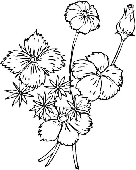 nature coloring pages spring coloring pages