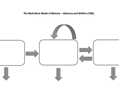 blank multi store model  memory diagram teaching resources