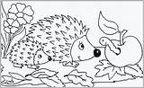 Hedgehog Vorlagen Drachen Einzigartig Hedgehogs Exklusiv Kita Bulkcolor sketch template