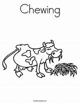 Coloring Cow Chewing Grass Eats Search Built California Usa Twistynoodle Noodle sketch template