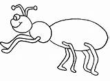 Hormigas Hormiga Animadas sketch template