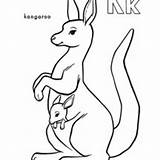 Coloring Kangaroo Baby Pouch Netart Drawing Animals Part Carrying sketch template