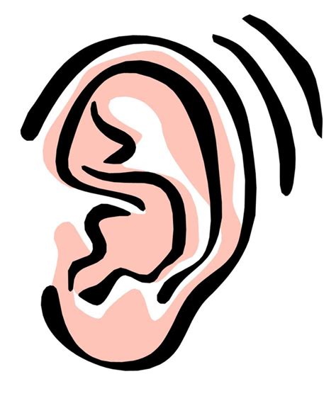cartoon ear clipart