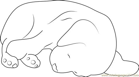 sleepy dog coloring page  kids  dog printable coloring pages
