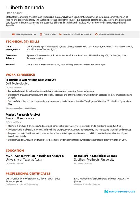data analyst resume guide examples