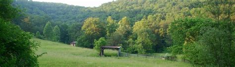 holler kentucky bed breakfast