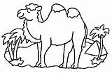 Camel Coloring Printable Animals sketch template