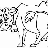 Cow Coloring Pages Dairy Bell Cows Wearing Neck Her Ringing Wear Netart sketch template