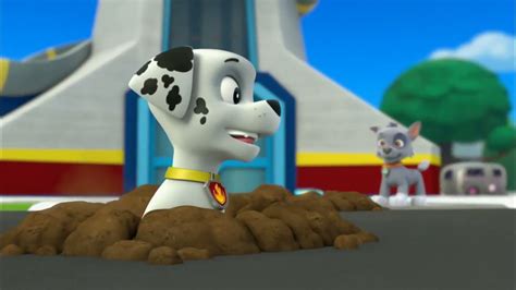 paw patrol marshall s weekly wipeouts pups save ryder s robot youtube