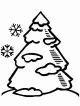 Coloring Tree Winter Pine Pages Printable Trees Clip Colouring Pinetree Clipart Cliparts Book Print Library Coloringpagebook Popular Kids Advertisement Coloringhome sketch template