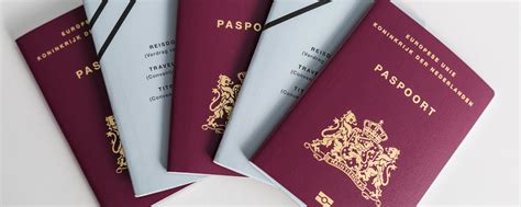 paspoort id kaart en rijbewijs beekdaelen