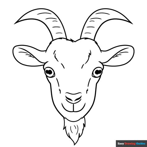goat face coloring page easy drawing guides