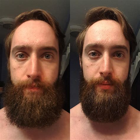 taming  beard     rbeards
