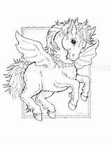 Bergsma Jody Pegasus Unicornio Adults Unicorns sketch template