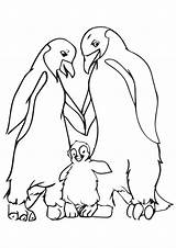 Happy Feet Coloring Pages Books Categories Similar sketch template