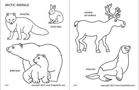 arctic polar animals  printable templates coloring pages
