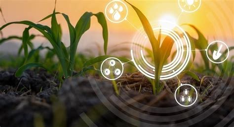 Tecnologia Na Agricultura O Que É E Importância No Campo