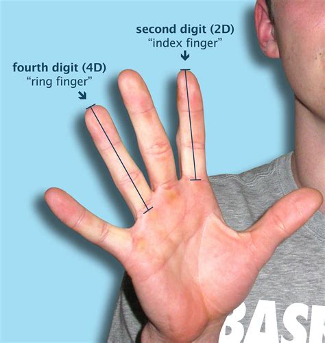 finger size  matter  sports