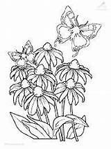 Blumenwiese Malvorlage sketch template