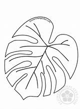 Tropical Leaf Coloring Leaves Template Printable Templates Flowers Flowerstemplates sketch template