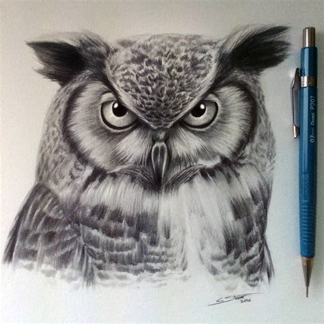 owl drawing  lethalchris  deviantart