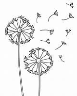 Dandelion Simplest Prettiest sketch template