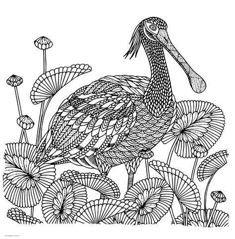 detailed bird coloring page coloring pages printablecom