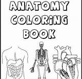 Coloring Kidney System Excretory Getcolorings Pages Color Getdrawings sketch template