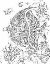 Coloring Angelfish Sea Mandalas Zentangle Erwachsene Therapy Malvorlagen Fisch Ausmalen Dificiles Coloriages Marins Adultos Adulte Livres Poisson Magique Quallen Delfin sketch template