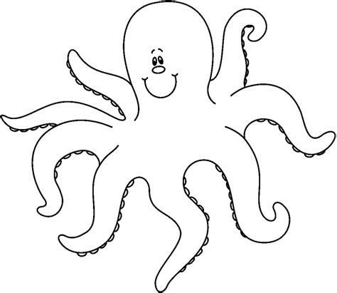 octopus coloring pages  kids photo animal place