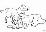 Coloring Pages Wolves Familiy sketch template