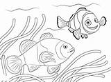 Coloring Anemone Clown Among Swimming Fish Pages Clownfish sketch template
