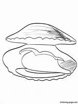 Coloring Pages Pearl Getcolorings Clam sketch template