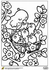 Nid Kleurplaat Lente Oiseau Vogelnestje Coloring Kleurplaten Hugolescargot Voorjaar Maman Coloriages Vogelnesten Volwassenen Moeilijk Bébé D3 Partager Rugrats Leur Escargot sketch template