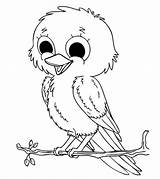 Bird Coloring Pages Printable Color sketch template