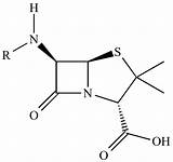 Penicillin Structure Organic Molecule Core Harding Chem Ucla Igoc Edu sketch template