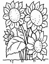 Zonnebloemen Kleurplaat sketch template