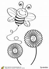 Abeille Butine Bienen Coloriages Ausmalen Coloring Hugolescargot Insectes Blumen Bees Coccinelle Biene Kleine Maternelle Visiter Escargot Partager sketch template