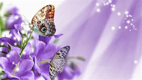 purple embraces hd desktop wallpaper widescreen high definition
