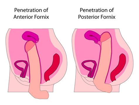 대기자료 아다 눈동자단이 믿는 자궁ㅅㅅ의 진실 행복한 유머 웃긴대학에 오셨습니다